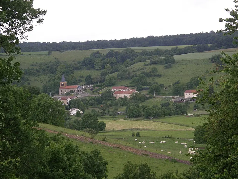 Kép: Vczachka commons · CC BY-SA 3.0 Réville-aux-Bois