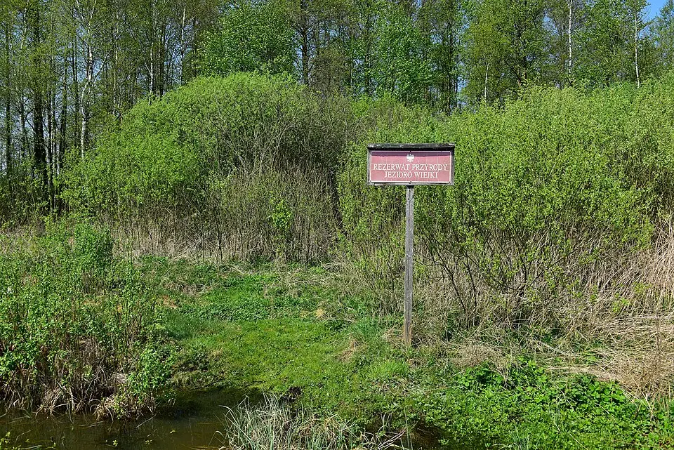 Rezerwat przyrody Jezioro Wiejki