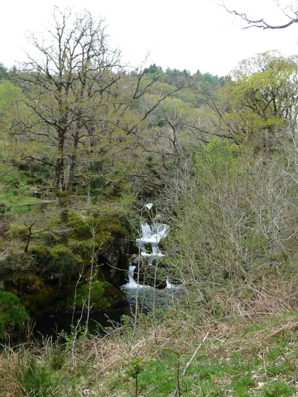 Obrázok: Christine Johnstone · CC BY-SA 2.0 Rhaeadr Cymerau