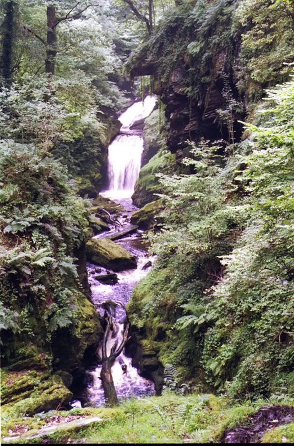 Obrázok: Pierre Terre · CC BY-SA 2.0 Rhaeadr Cynfal