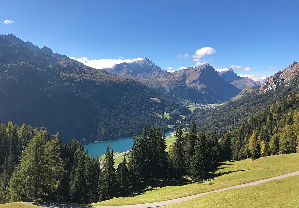 Rheinwald