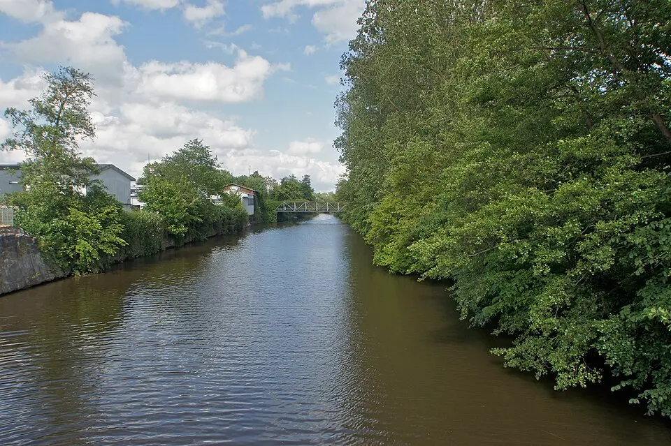 Rhin