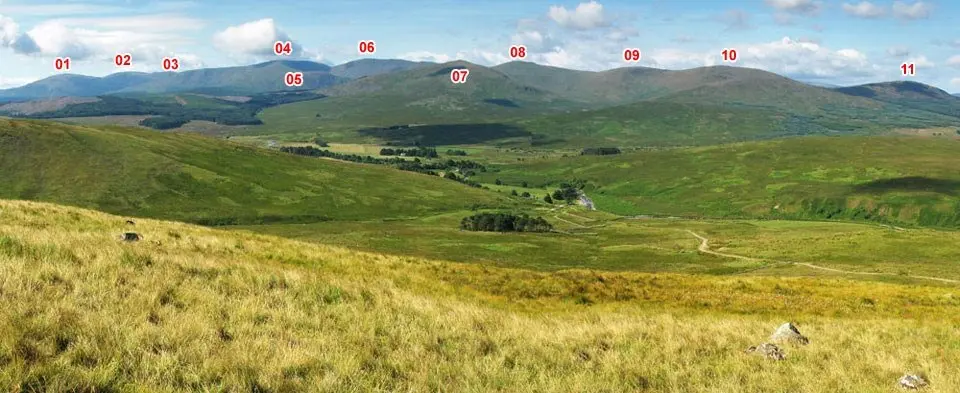 Rhinns of Kells