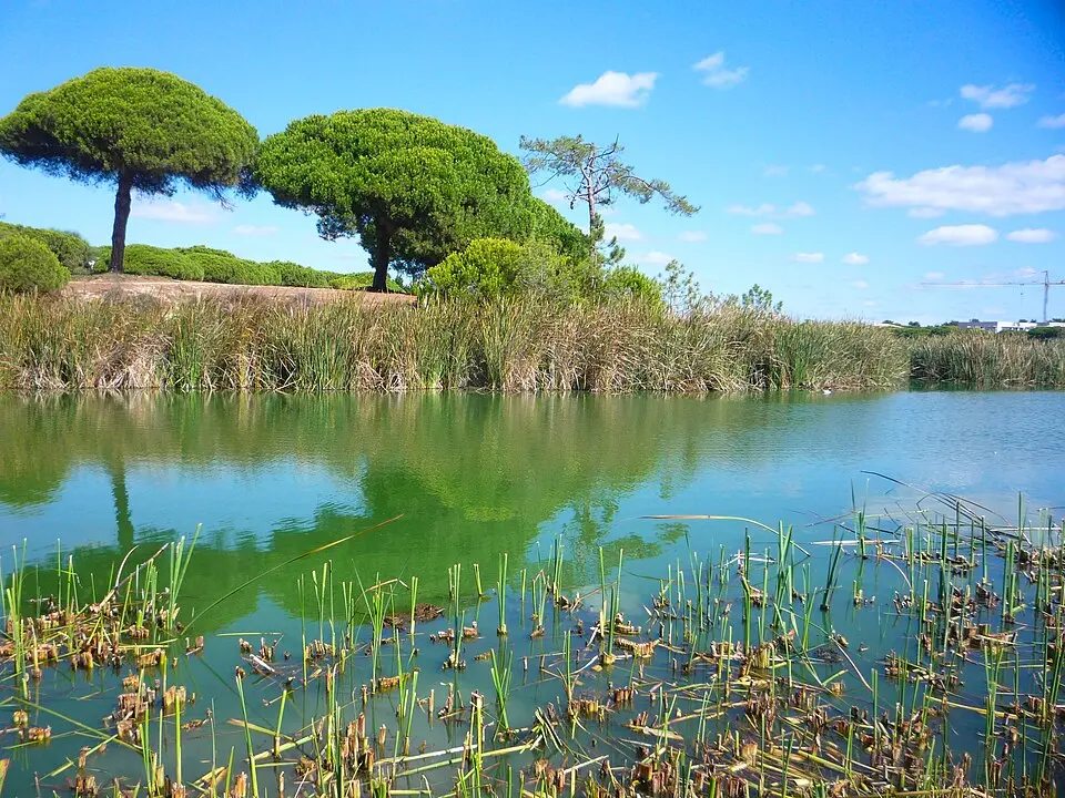 Parque Natural da Ria Formosa