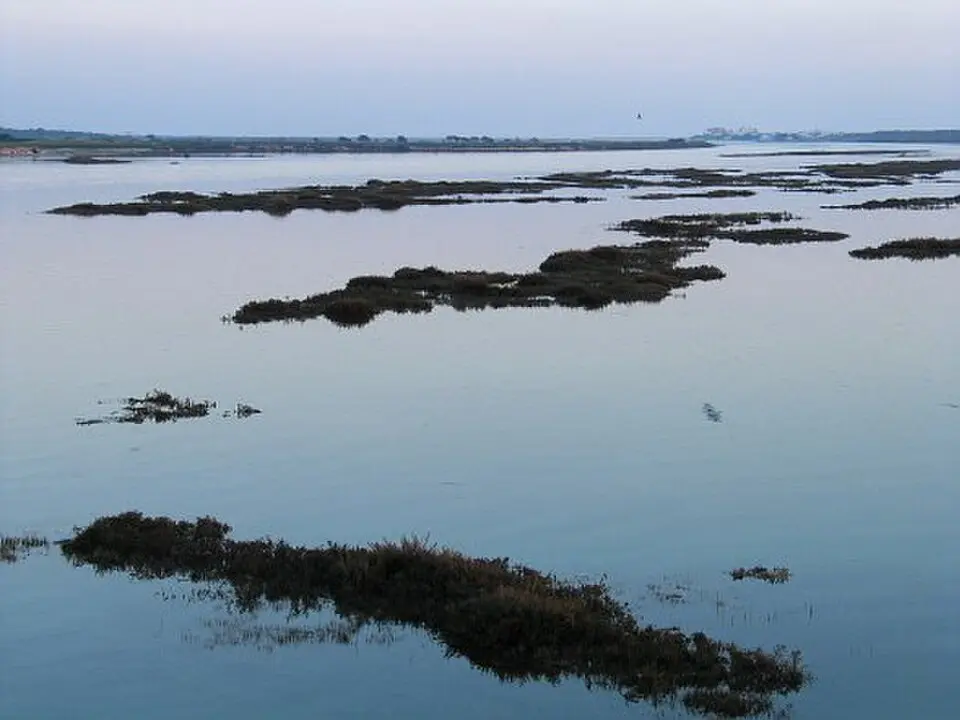 Ria Formosa