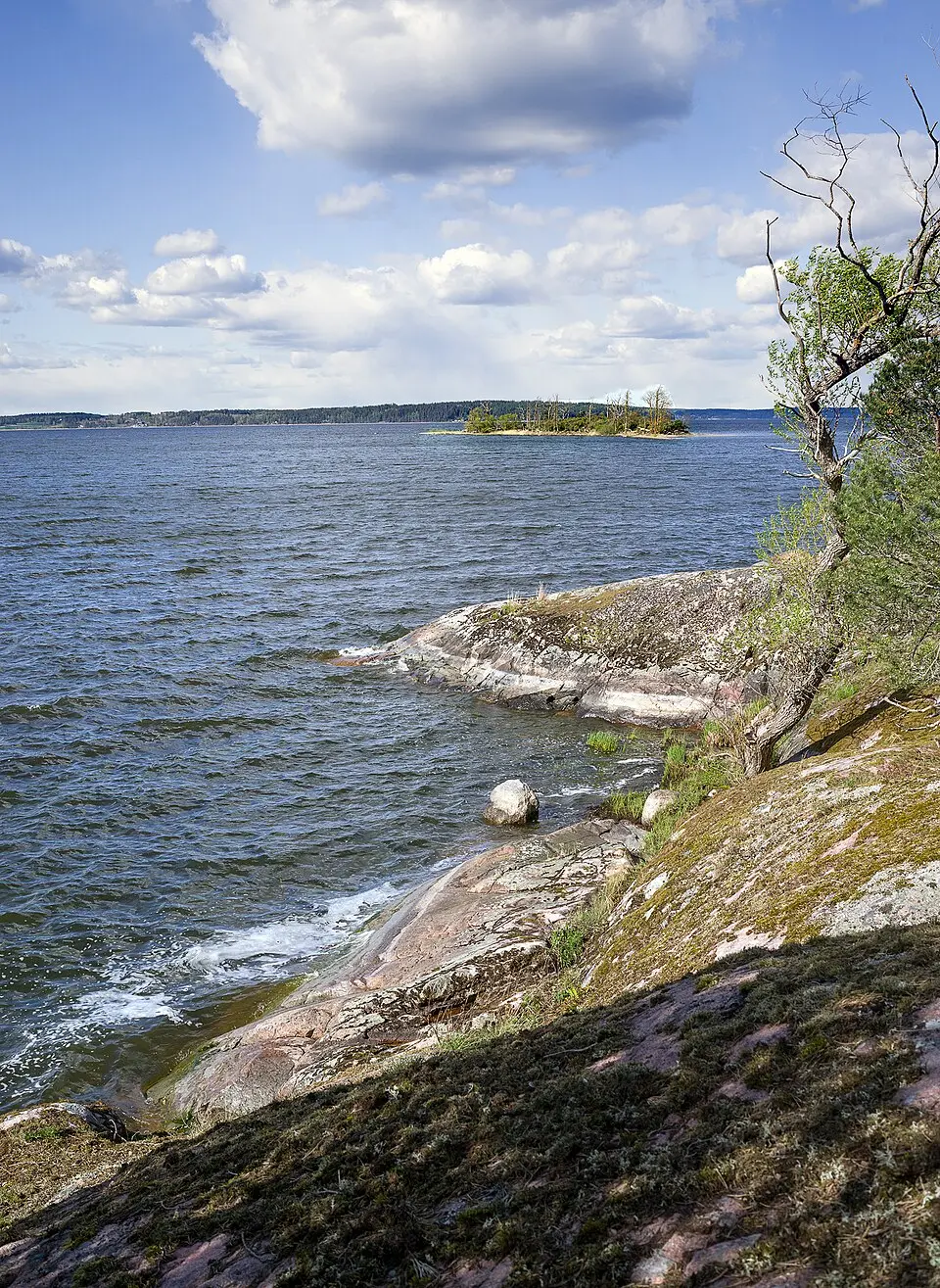 Ribbingsholm