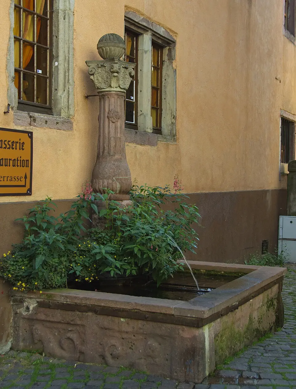 fontaine du Cerf