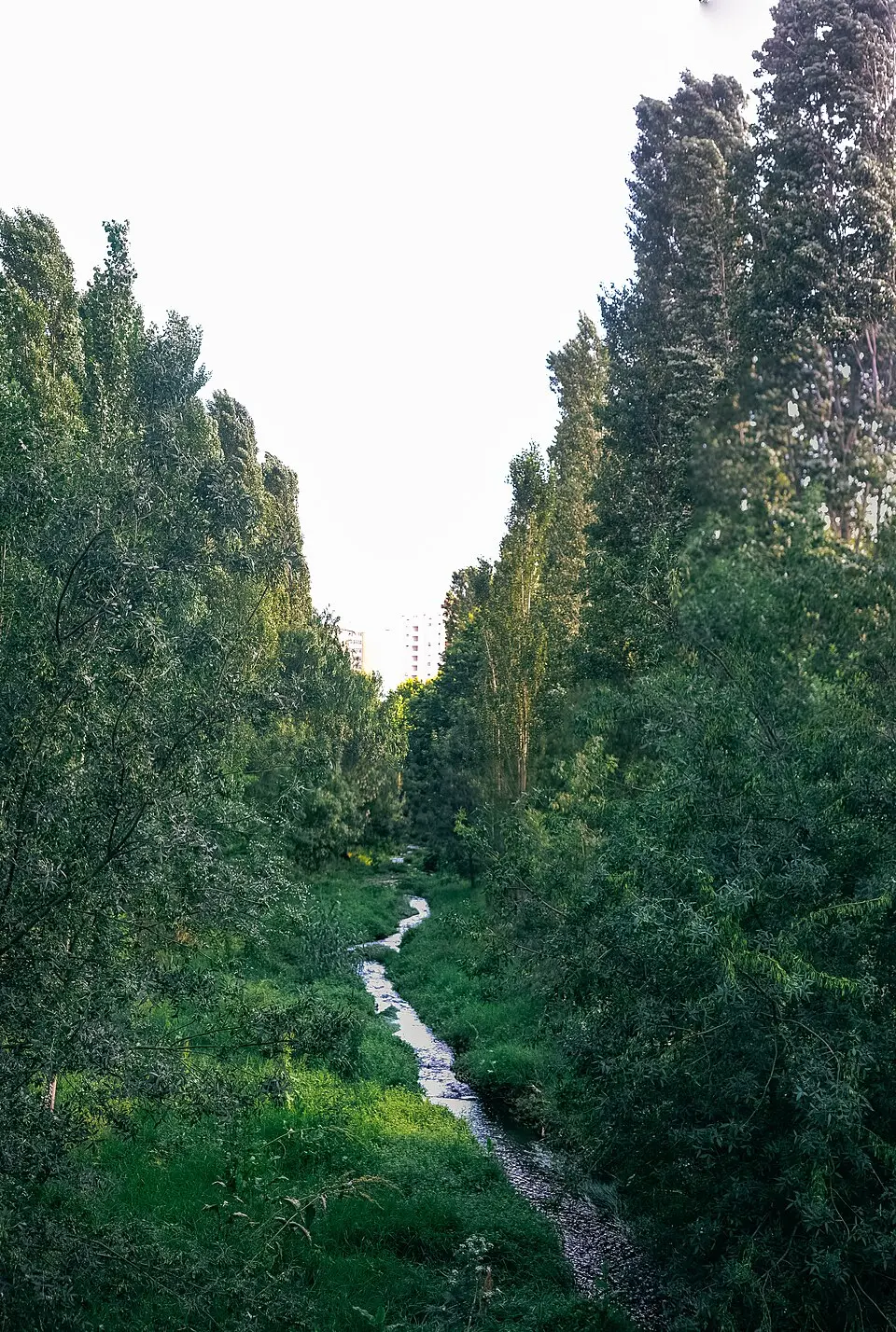 Ribeira de Algés