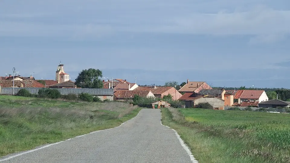 Ribota
