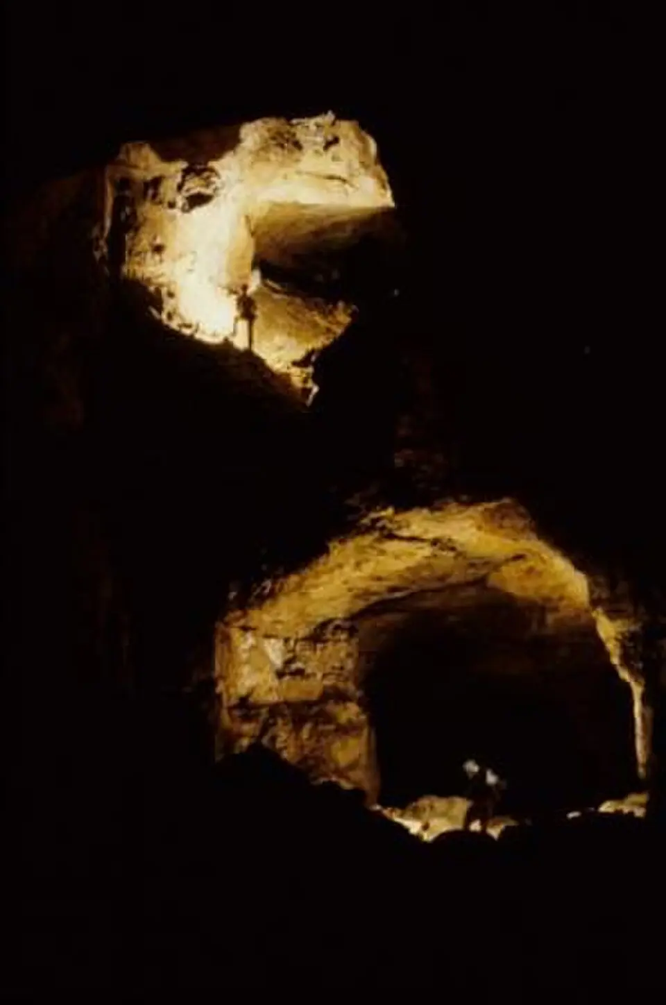 Kolkbläser-Monsterhöhle-System