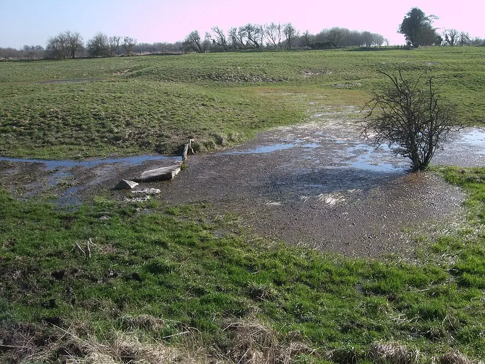 Richardson medieval settlement