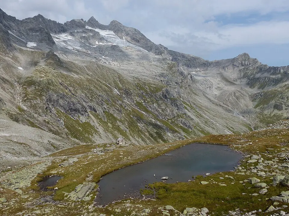 Zillerspitze