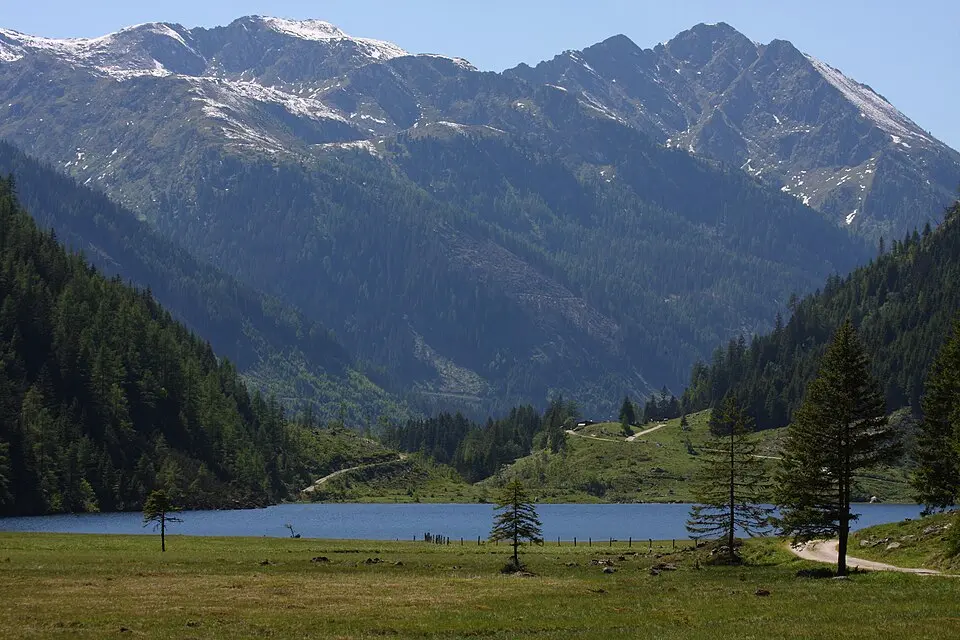 Seekarzinken