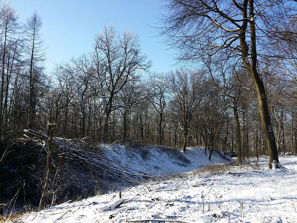 Immagine: Stefan.lefnaer · CC BY-SA 4.0 Befestigte Siedlung Türkenschanze