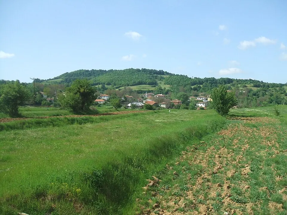 Armutveren
