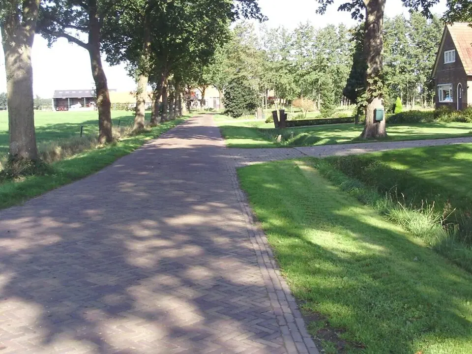 Rijsberkampen