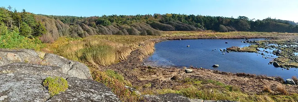 Ringane naturreservat