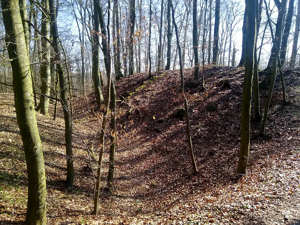 Ringwallanlage auf dem Zargenbuckel