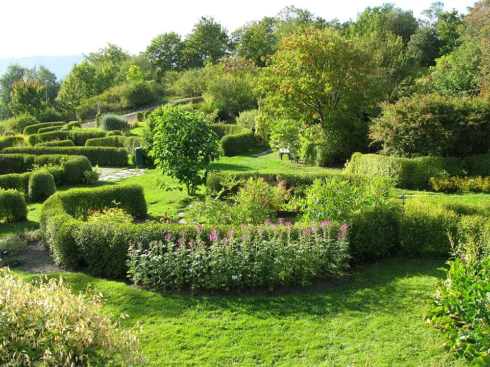 Ringve botaniske hage