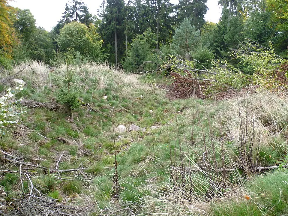 Ringwall Dreibornskopf
