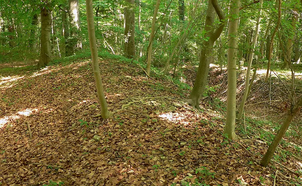 Ringwall auf dem Gehrdener Berg