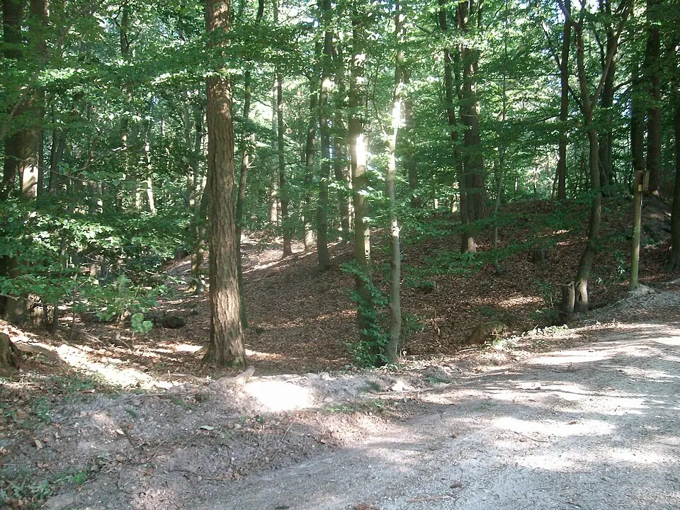 Siedlungsgeschichte Kapellenberg (Taunus)
