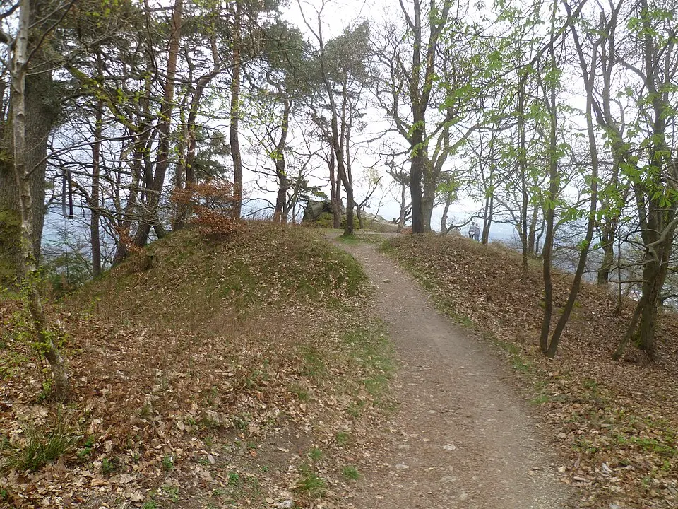 Image: Frank Winkelmann · CC BY 3.0 Ringwall Staufen