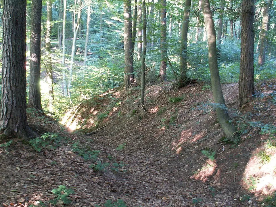Ringwall Venne