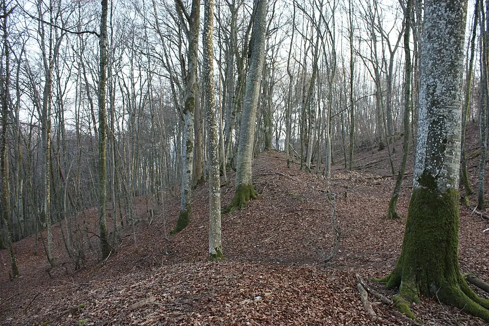 Burg Alt-Hayingen