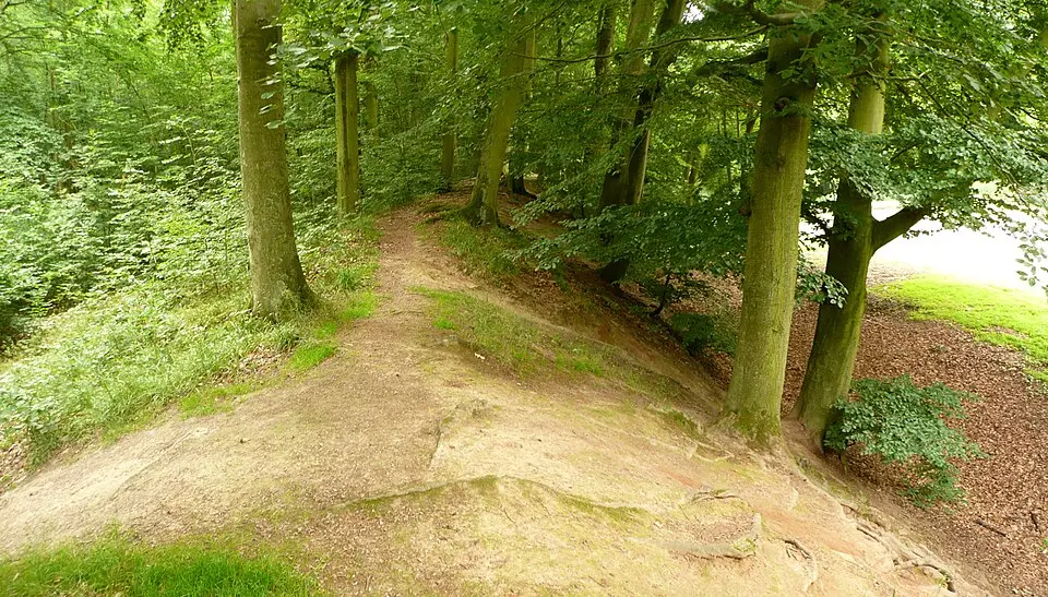 Ringwall der Marienburg bei Nordstemmen