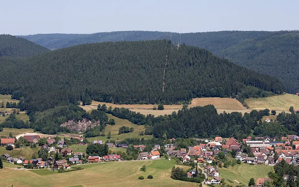 Rinkenkopf