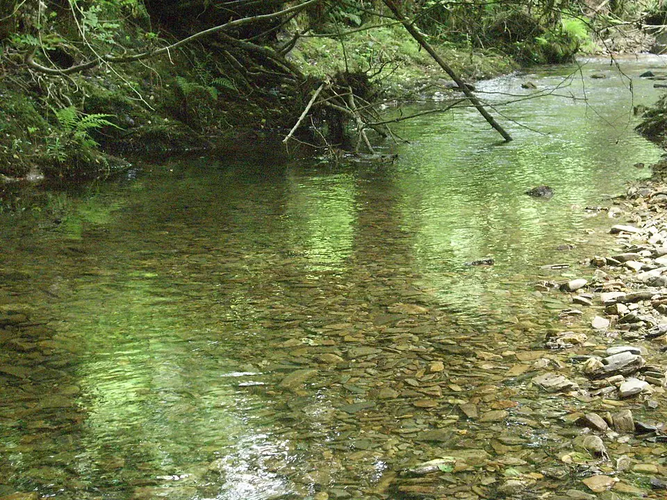 río Agüeira