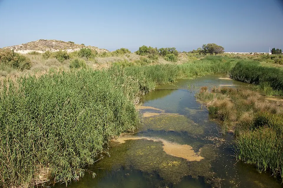Antas River