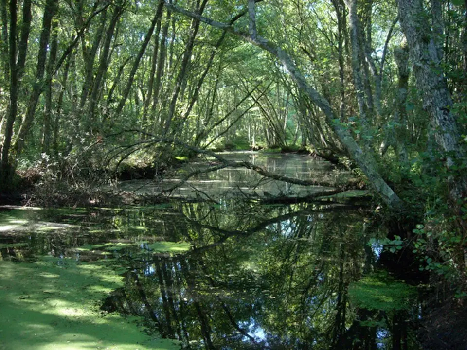 río Loña