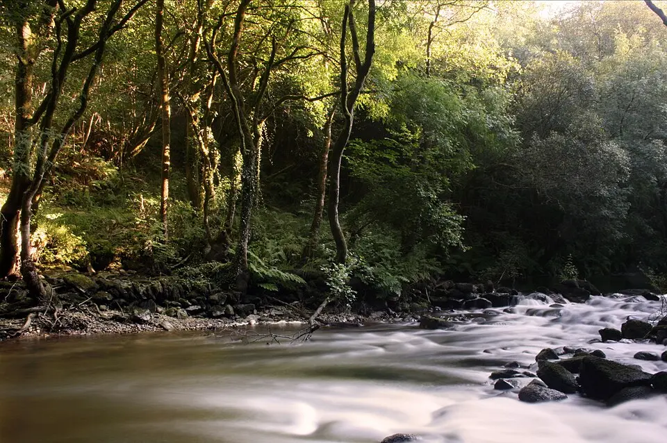 Río Mandeo