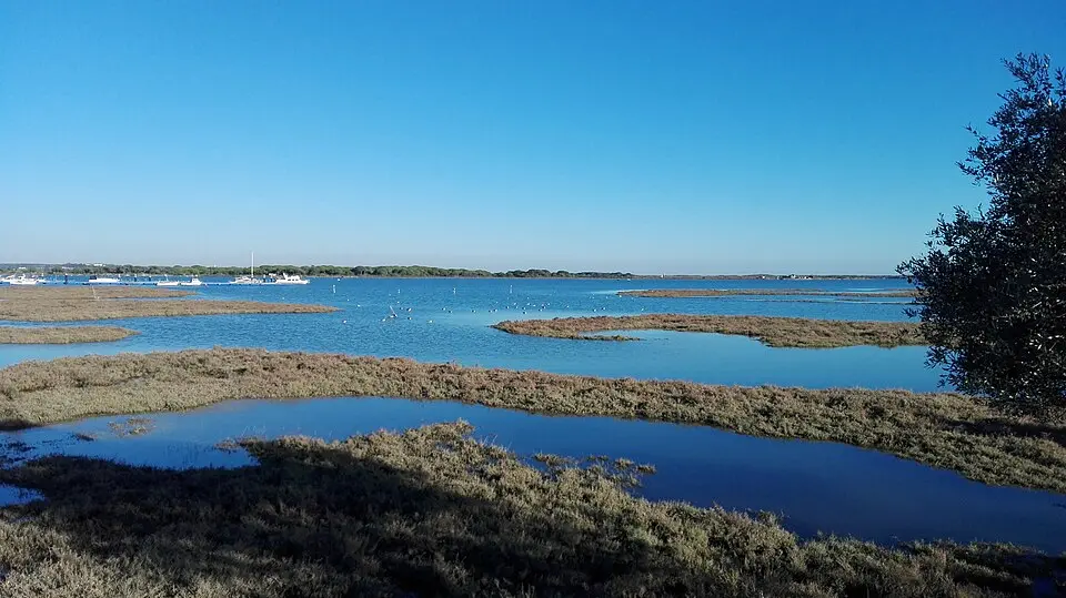 río Piedras
