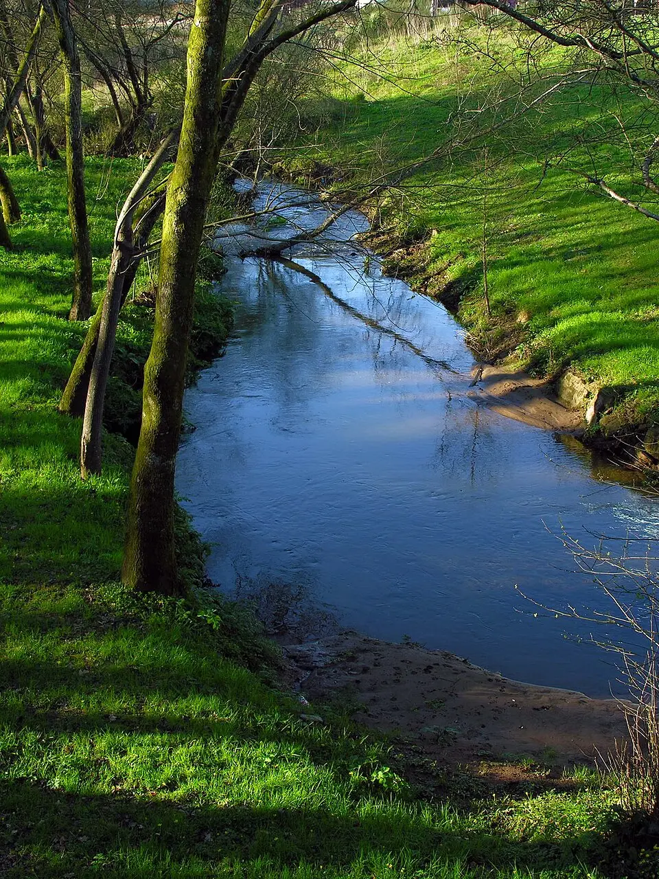 Río Sar