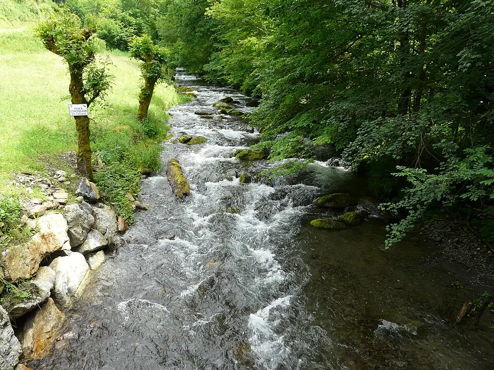 Río Torán