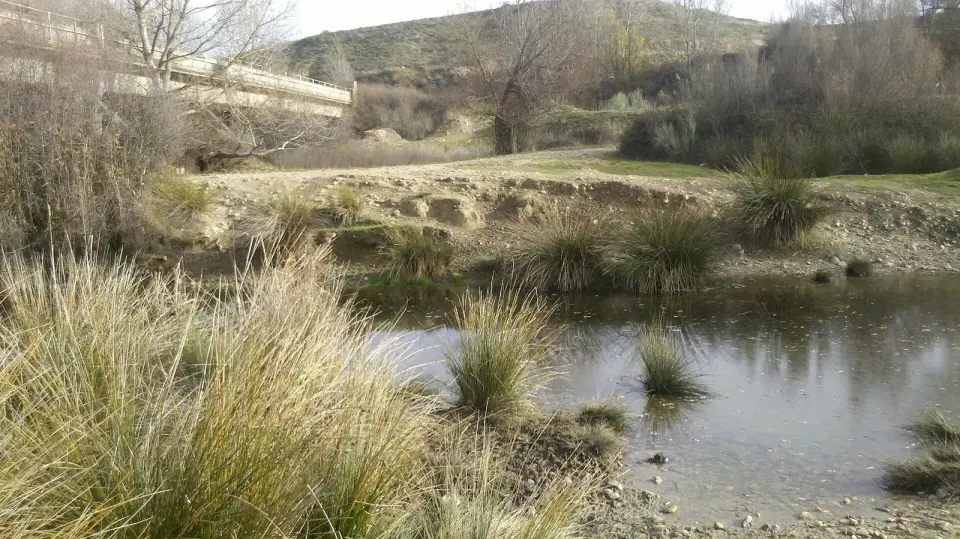 Torote river