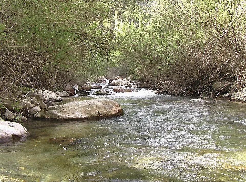 Río Castril