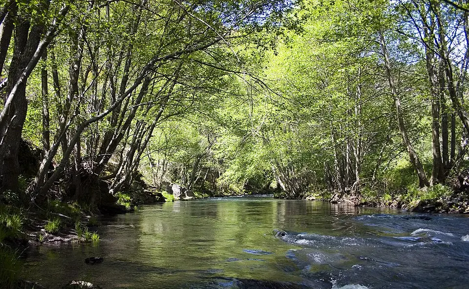 río Cúa