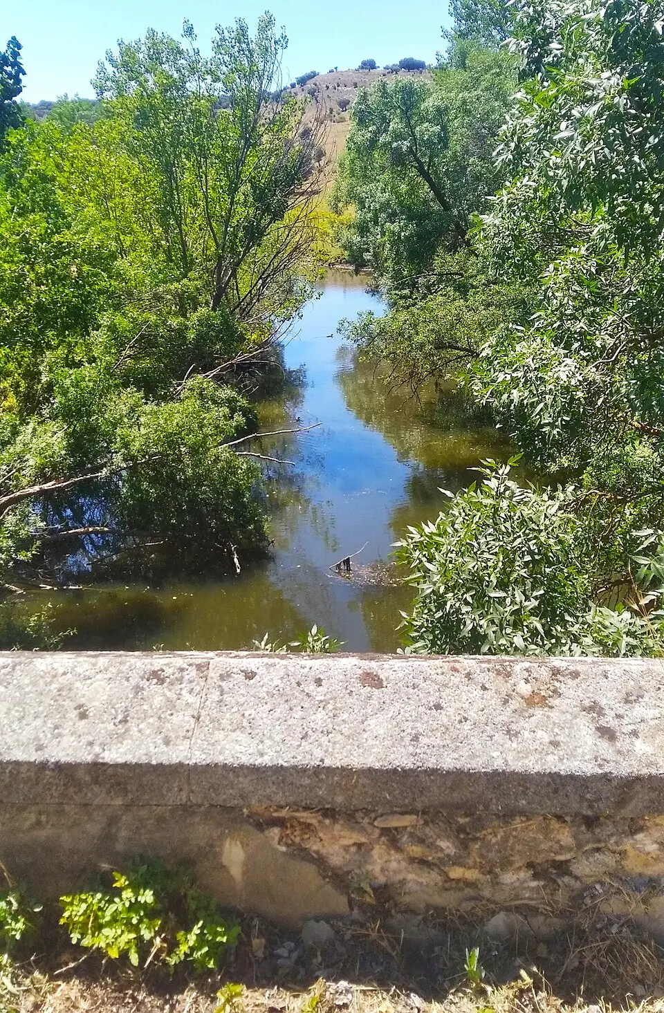 río Moros