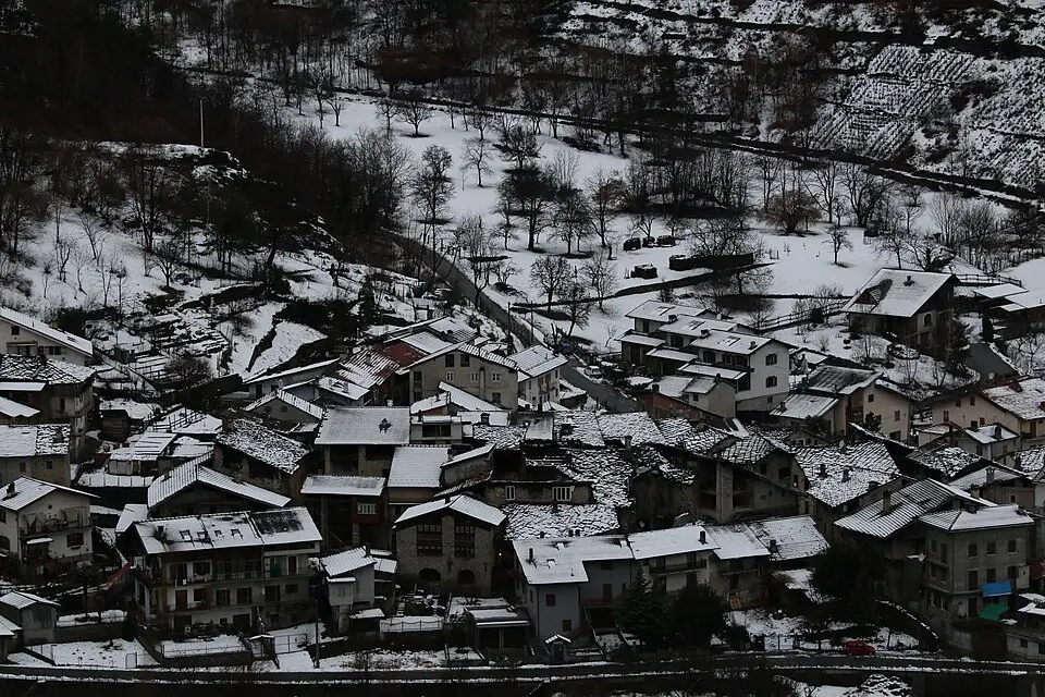 Arnodera