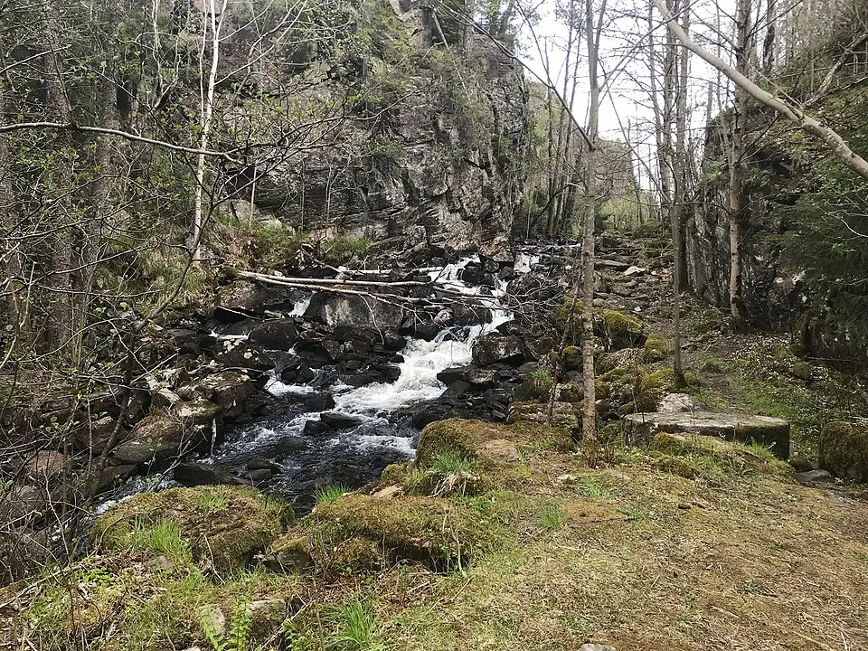 Risbohult
