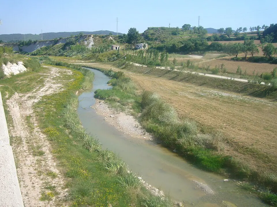 Anoia