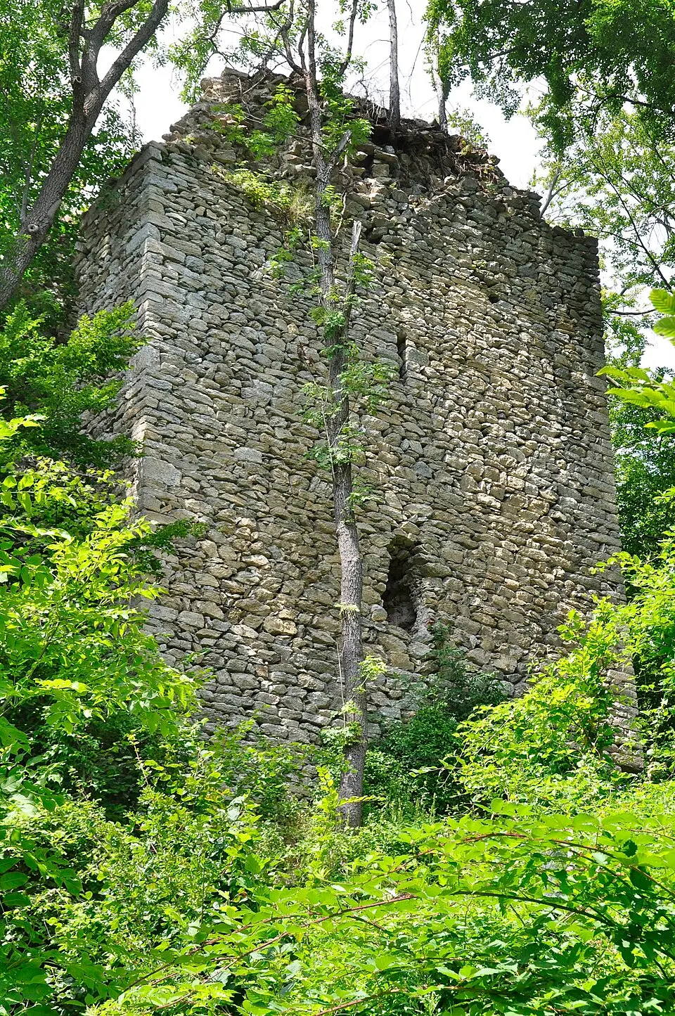 Burgruine Straßfried