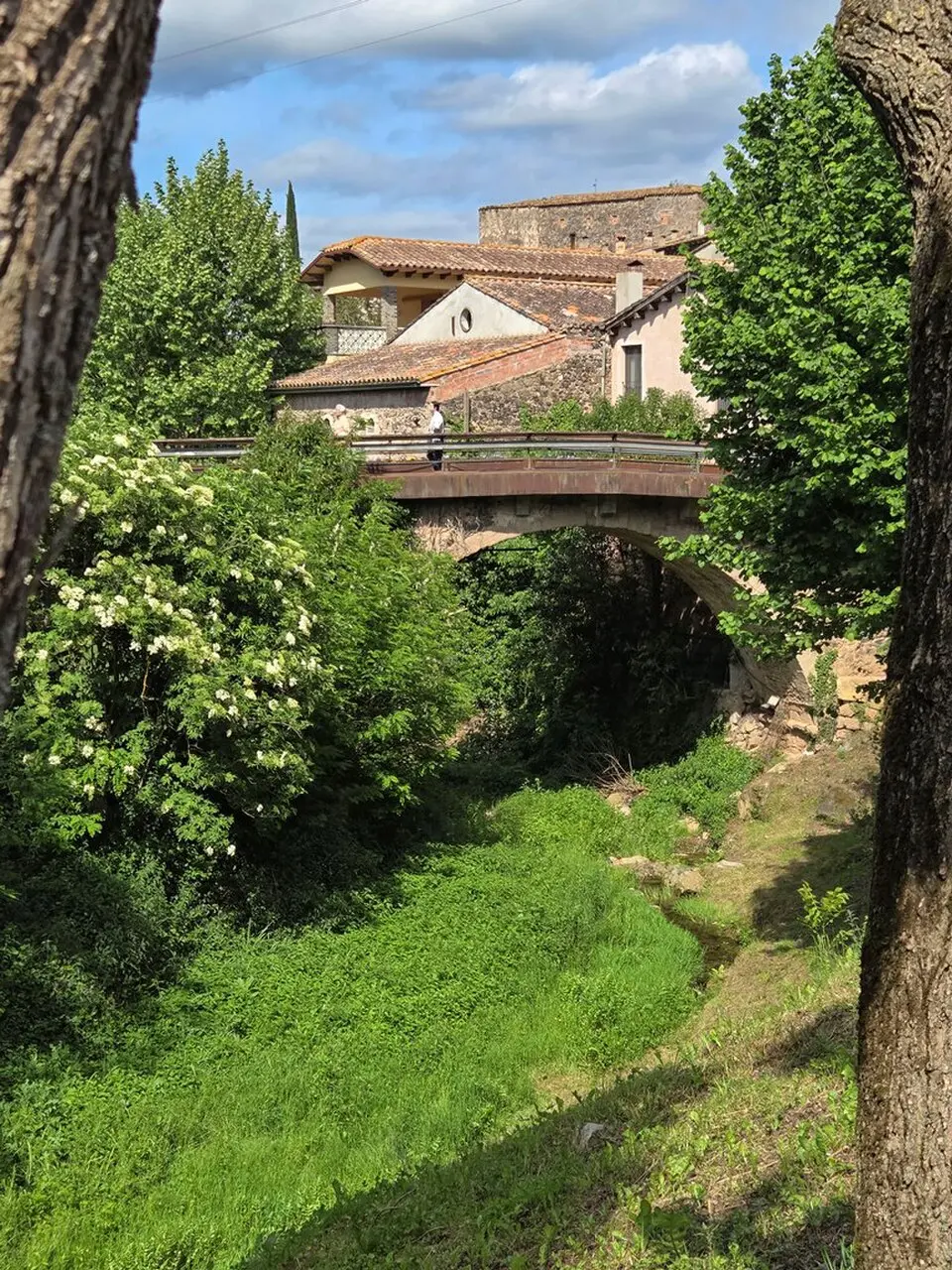 río Ser
