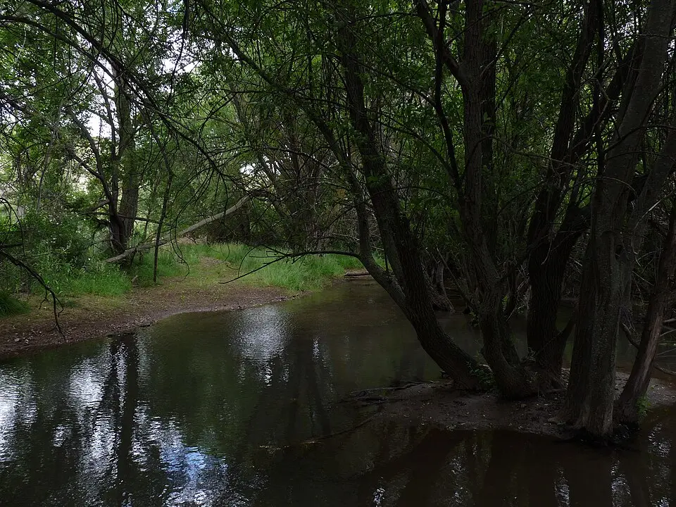rio Aguasvivas