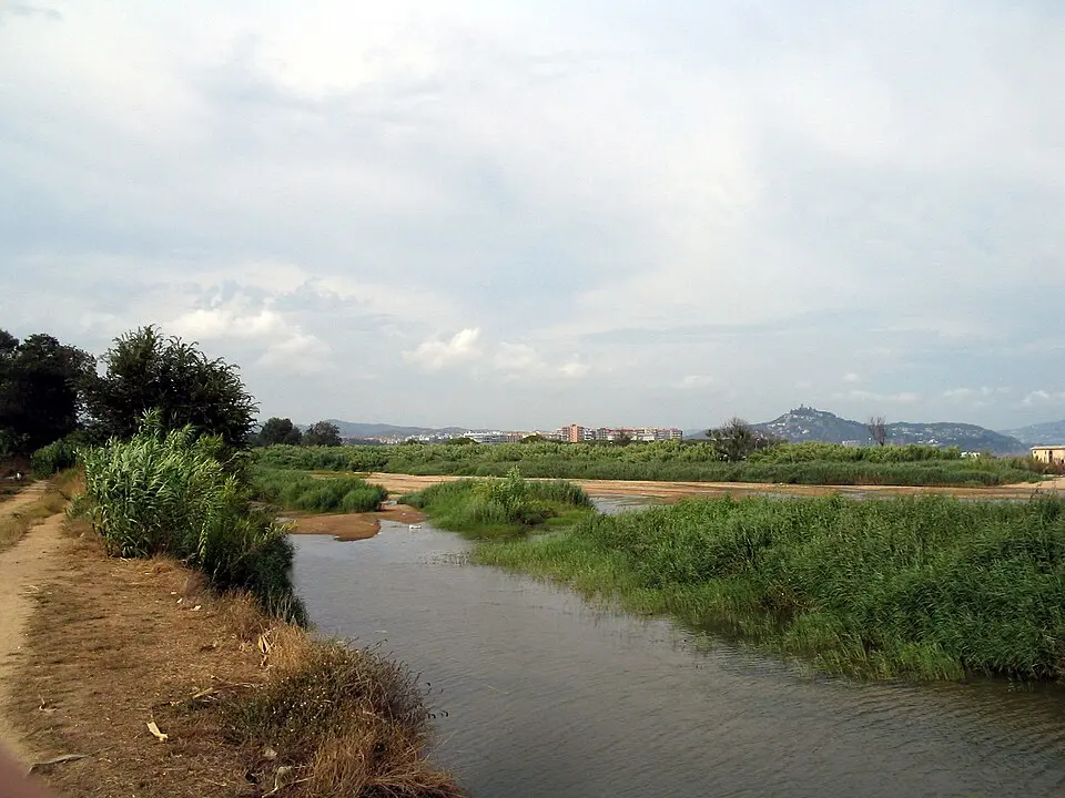Tordera
