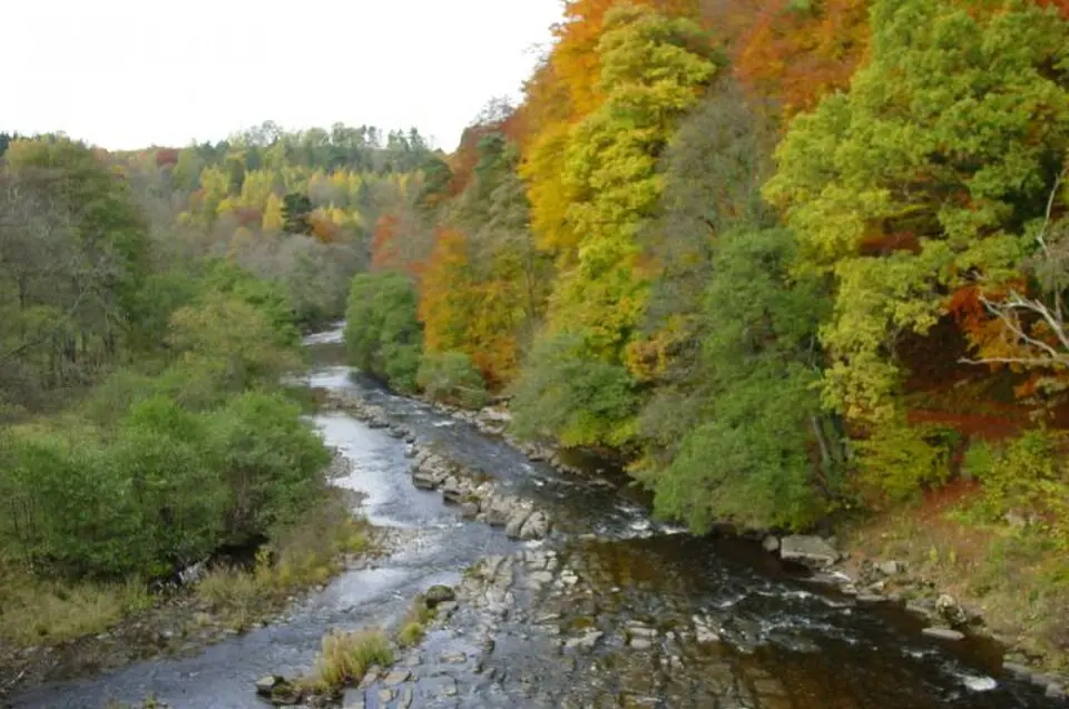 River Allen